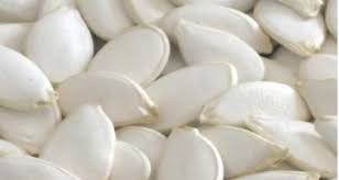 Pumpkin Seedsلب أبيض