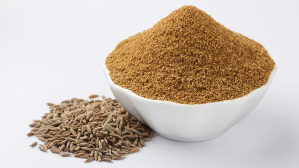 Cumin Seedsكمون