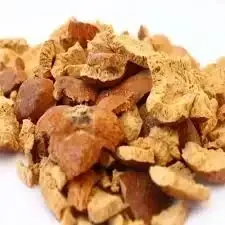 Dried Doumدوم