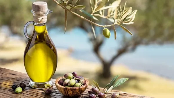 Extra Virgin Olive Oilزيت زيتون بكر ممتاز